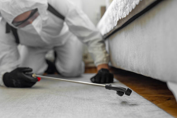 Professional Termite Control technician working in Meadow Lakes, AK
