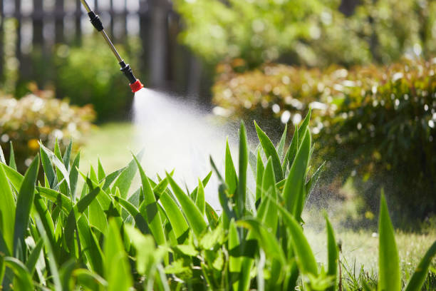 24/7 Emergency Termite Control experts in Meadow Lakes, AK